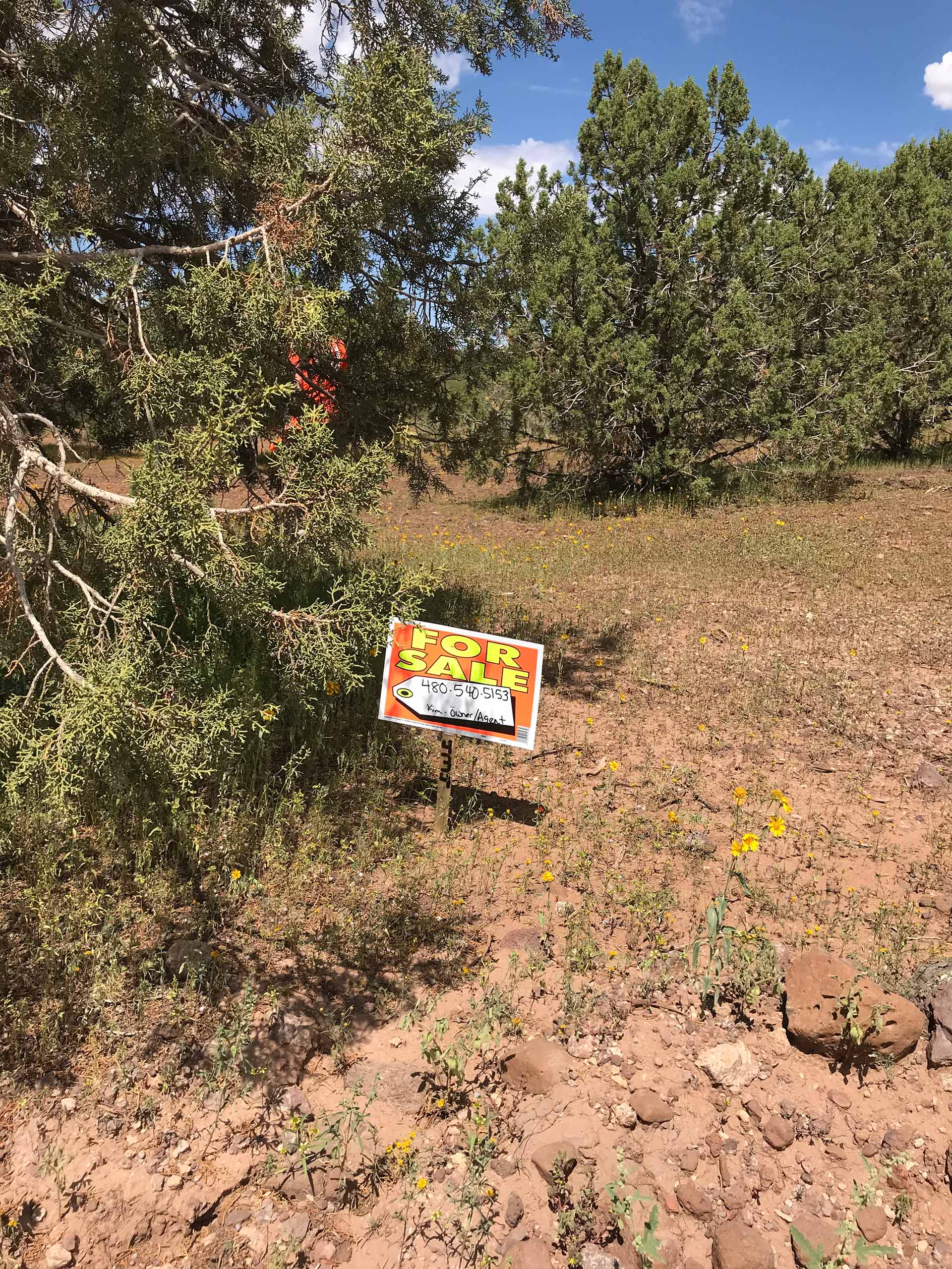 slp-unit-10-lot-434 Image